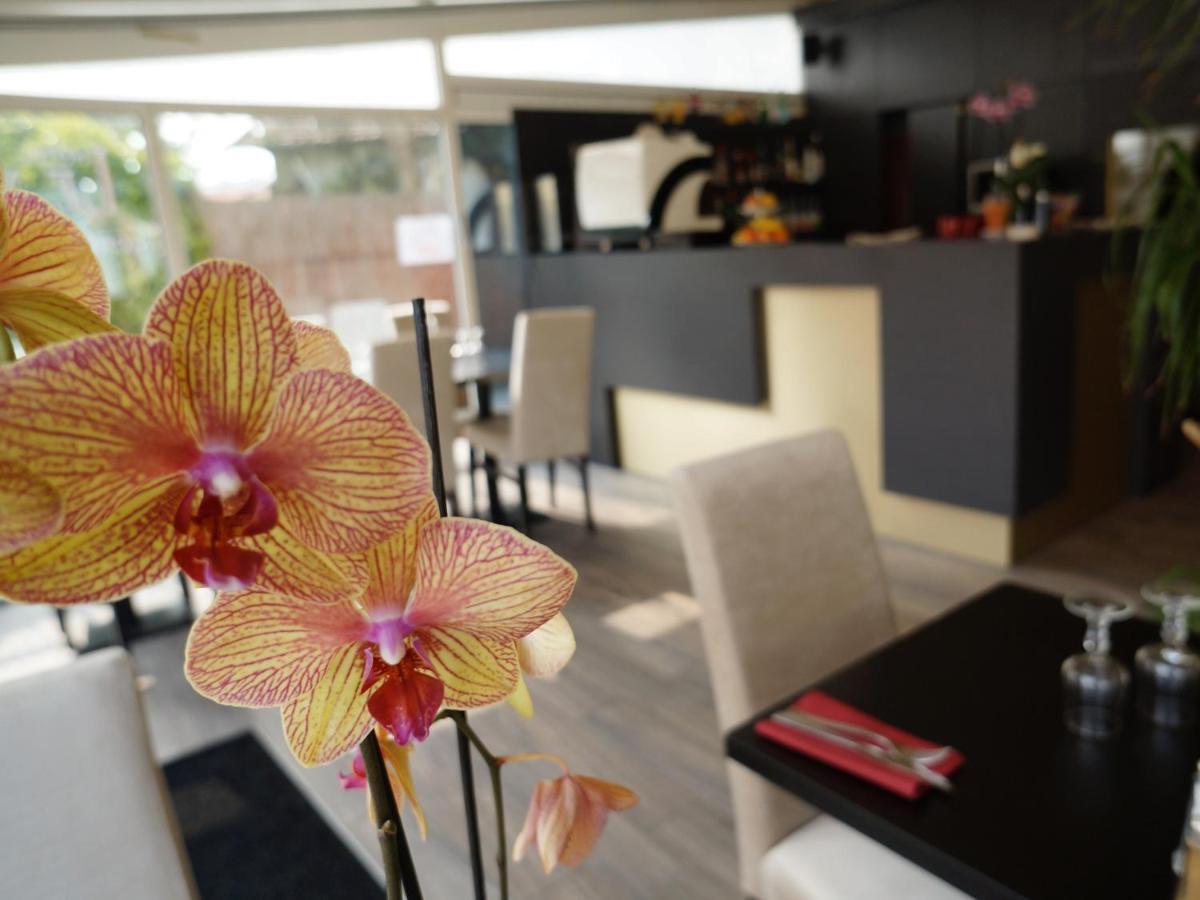 Hotel Et Studios Le Marina Baie De La Baule Pornichet Zewnętrze zdjęcie